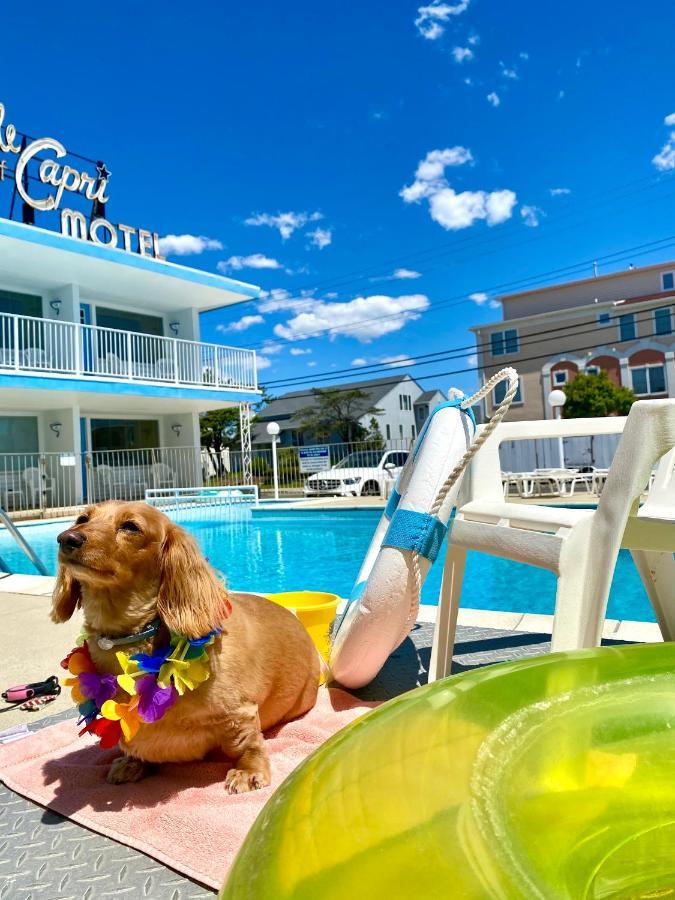 Isle Of Capri Motel North Wildwood Εξωτερικό φωτογραφία